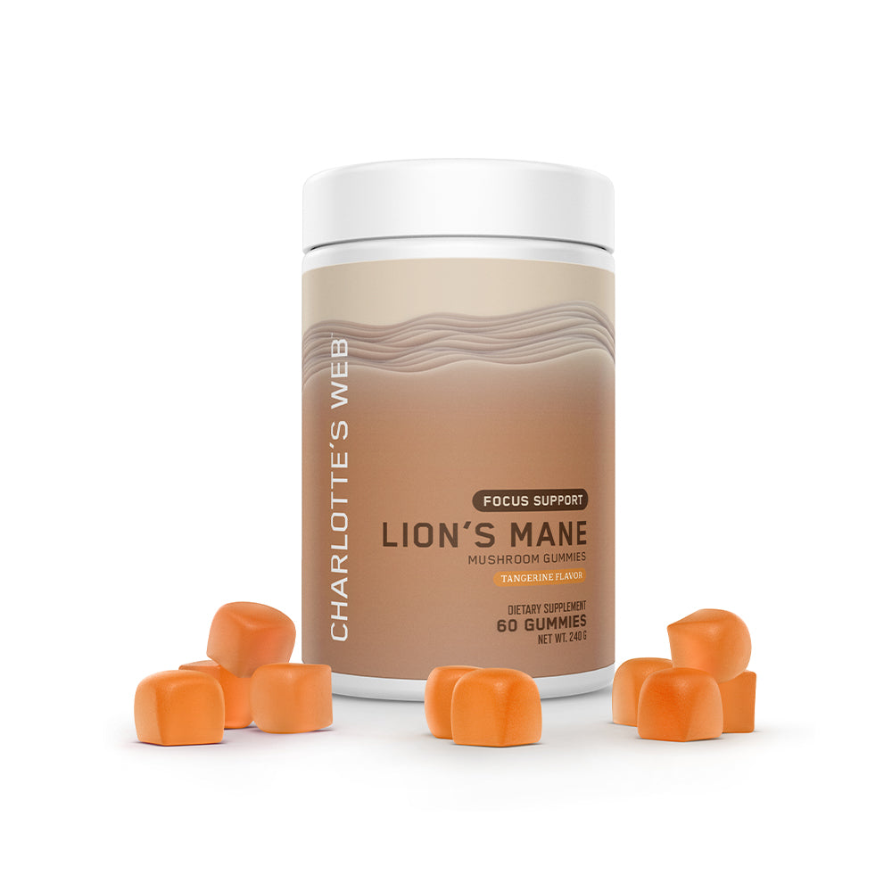 Focus Support with Lion's Mane Mushroom Gummy, 60 Count