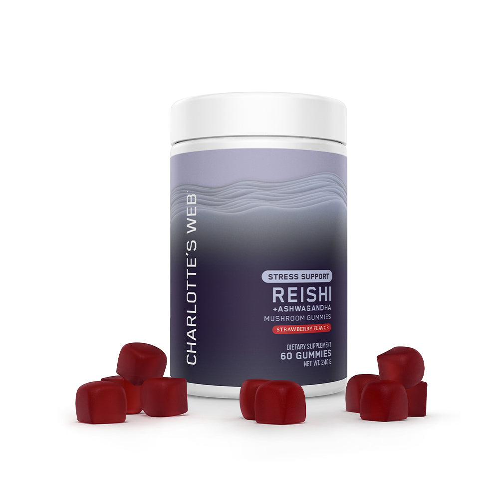 Stress Support with Reishi & Ashwagandha Mushroom Gummy, 60 Count