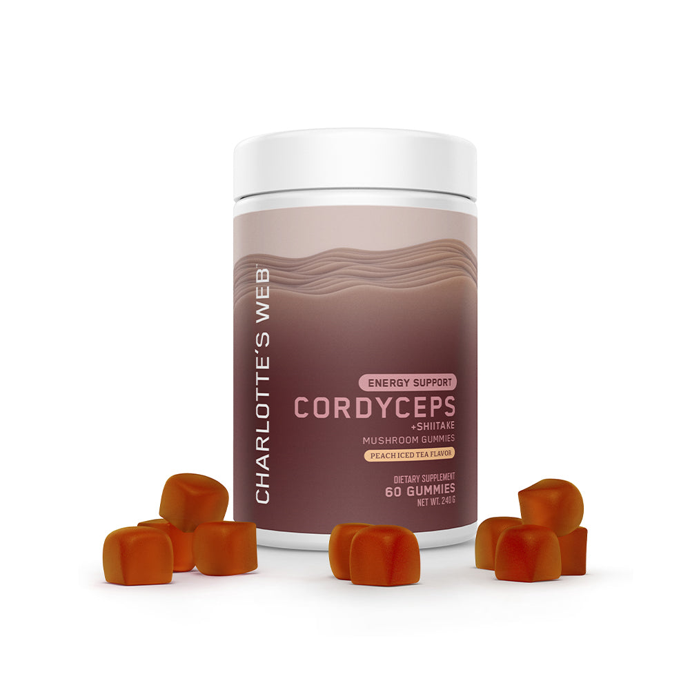 Energy Support with Cordyceps & Shiitake Mushroom Gummy, 60 Count