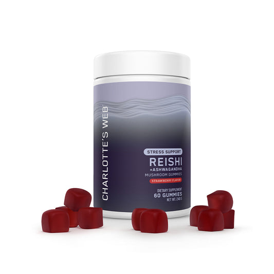 Stress Support with Reishi & Ashwagandha Mushroom Gummy, 60 Count